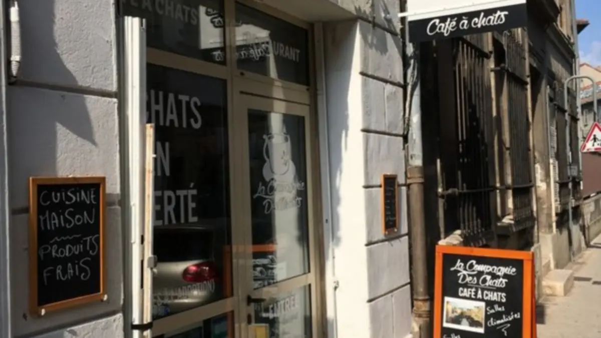 La Compagnie des Chats