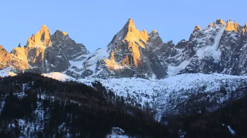 Appt Le Perce Neige-Blanchot