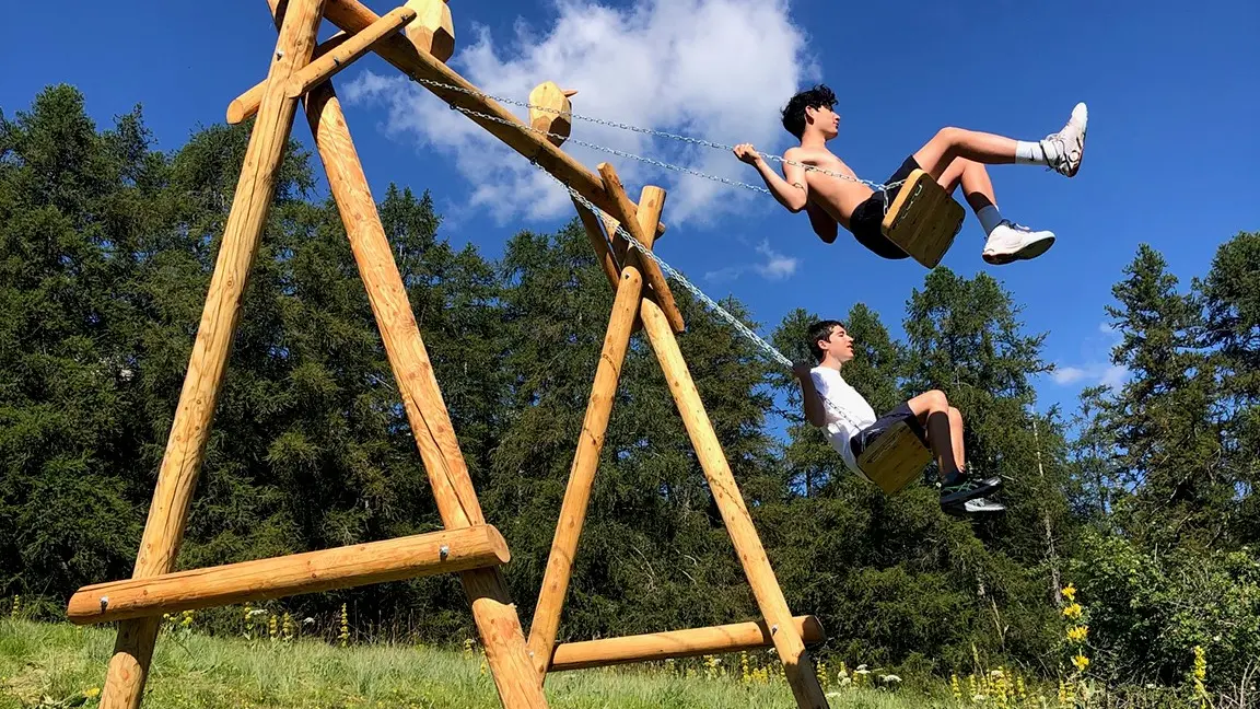 le peuple des oiseaux