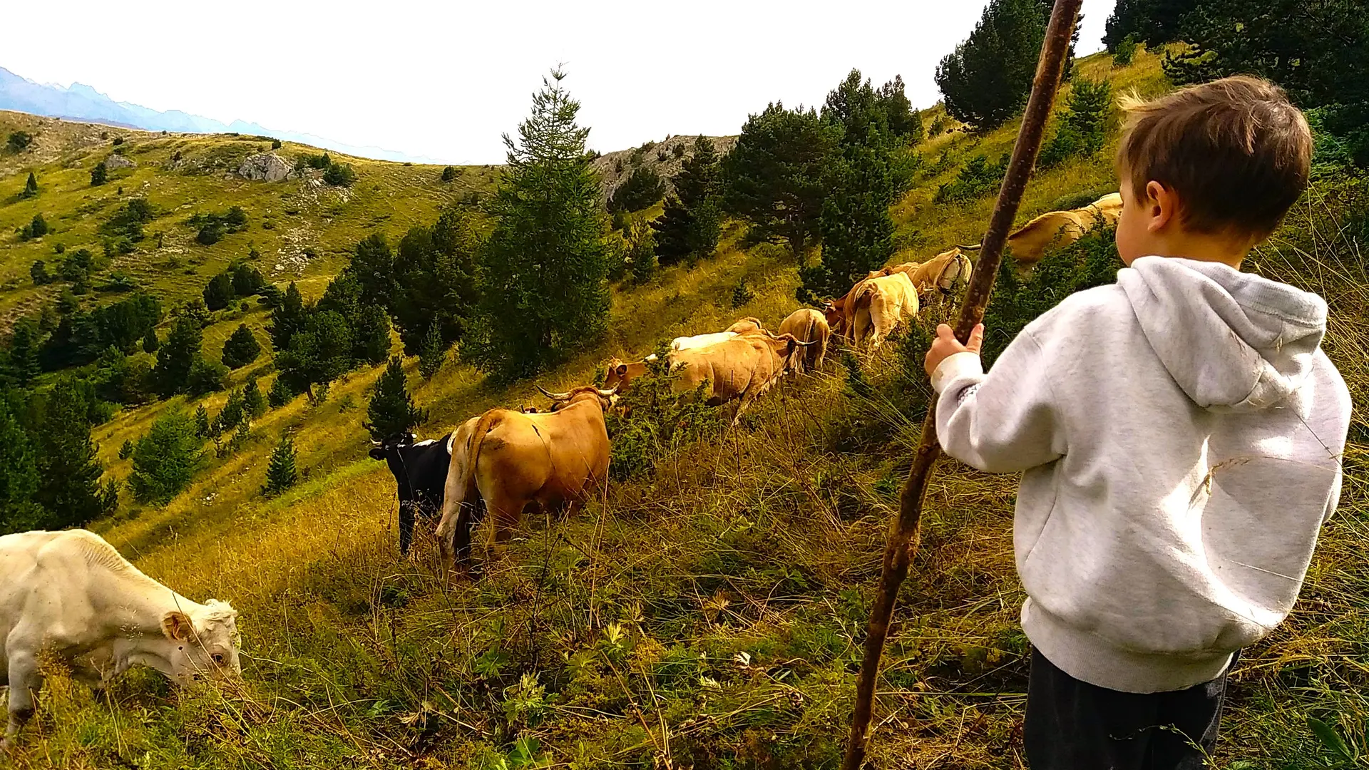 Ferme de La Petite Grange_Montmaur