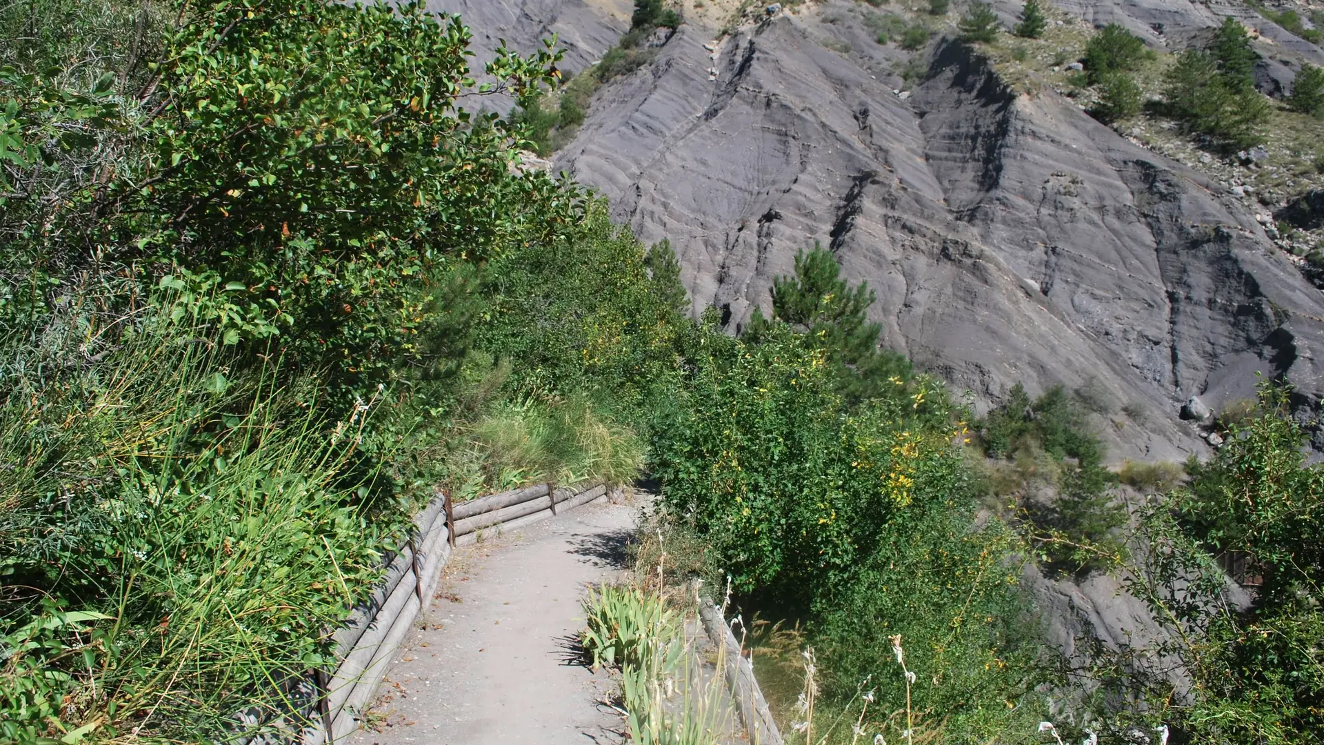 Beau sentier aménagé