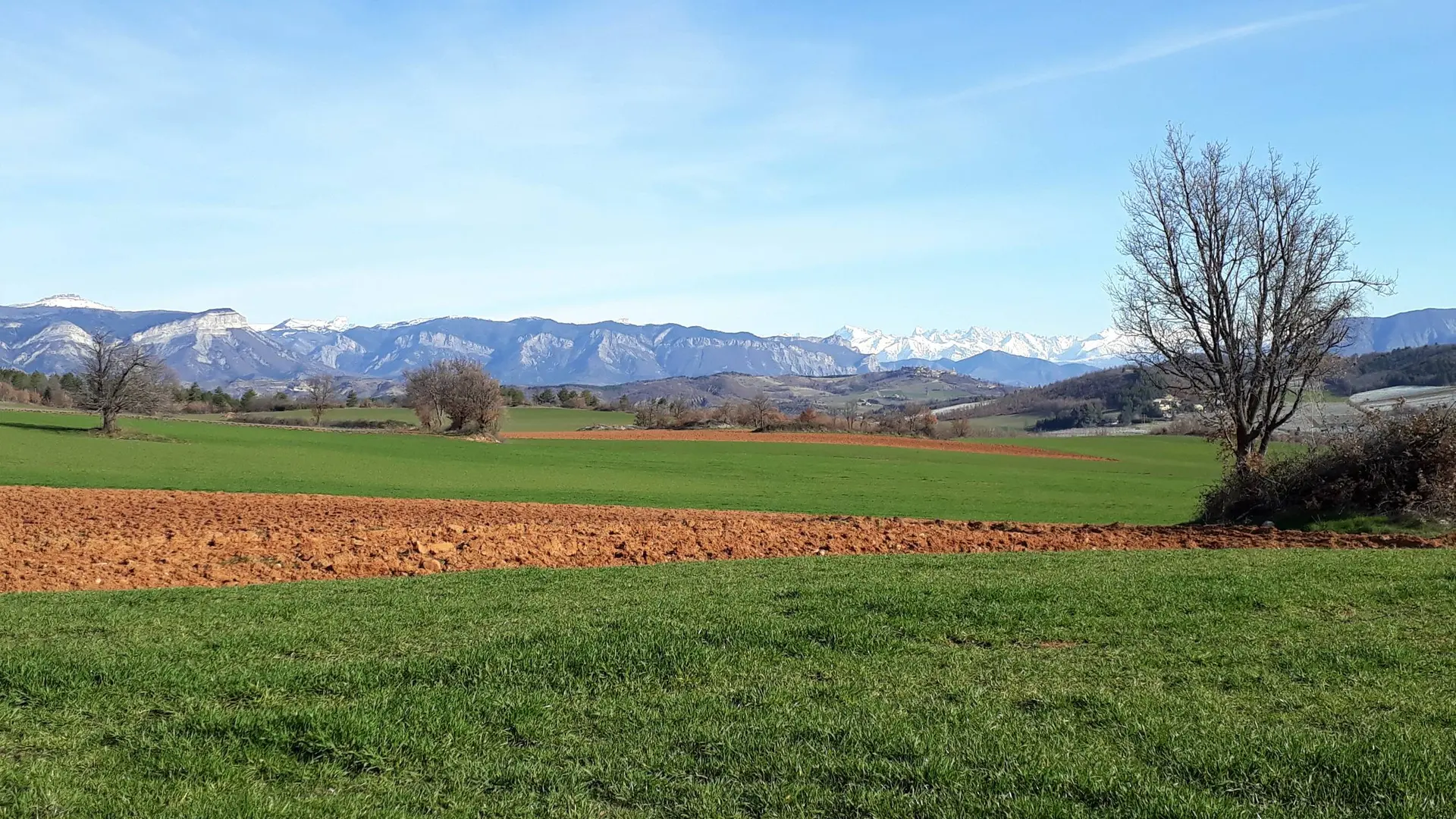 Plateau des Romeyères