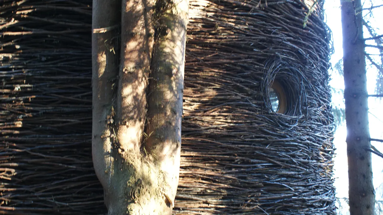 Cabane entre terre et ciel - Cabane nid