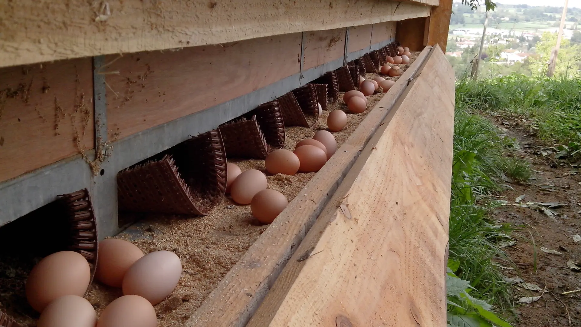 Ferme Valorge