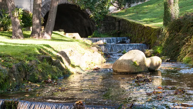 Le repaire des gaulois