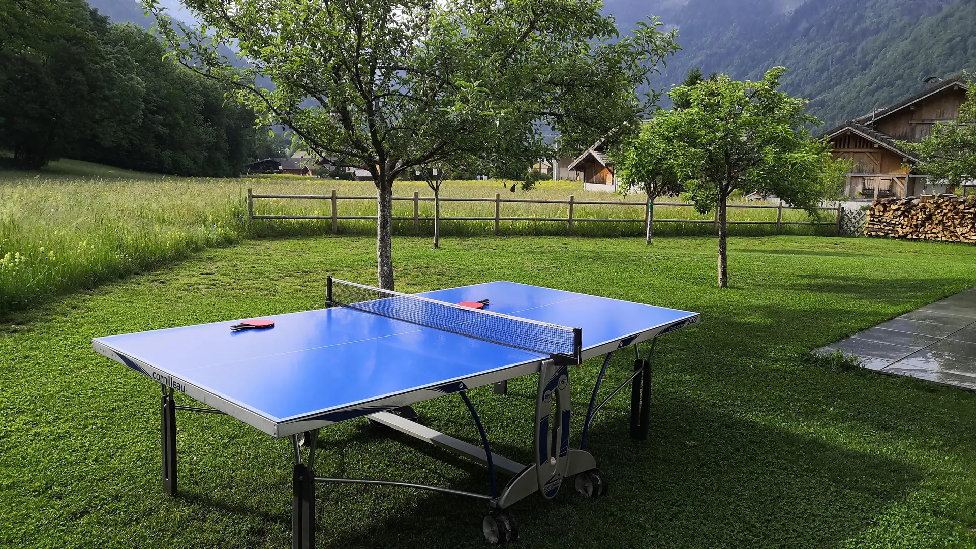Ping Pong