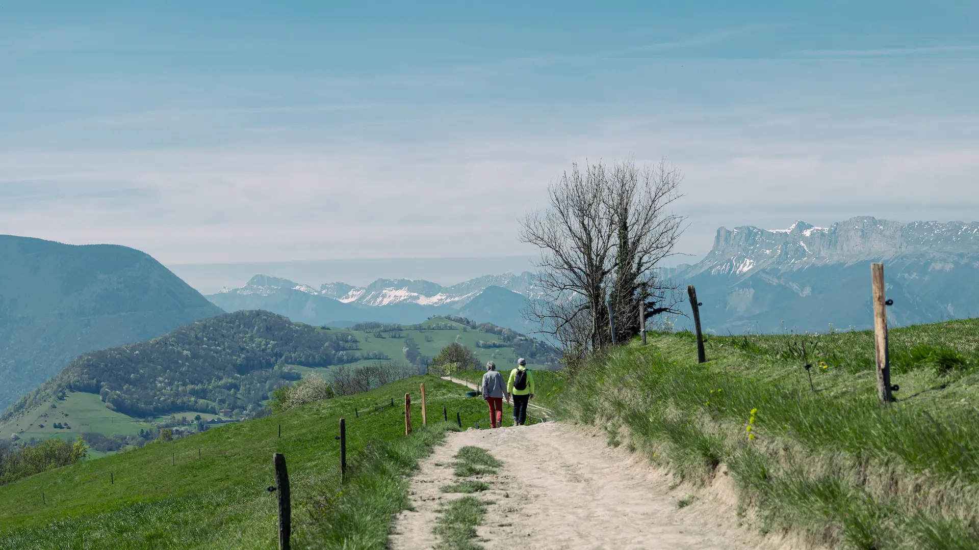 L’image montre un chemin de terre sinueux traversant une colline verdoyante, bordé de piquets et d’herbe, avec des montagnes lointaines partiellement enneigées sous un ciel dégagé.