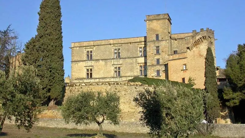 Chateau facade renaissance