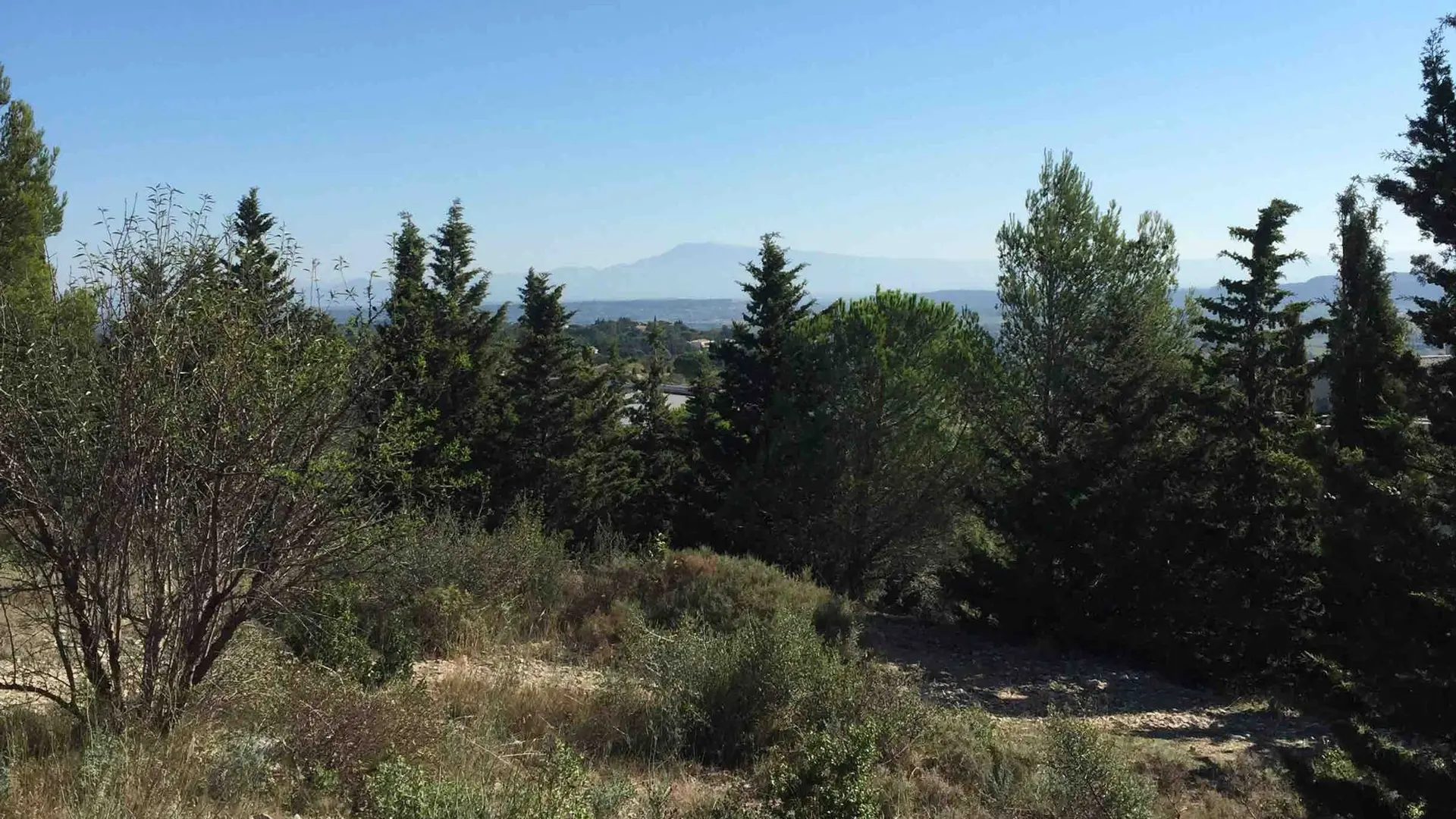 Vue sur le Mont Ventoux