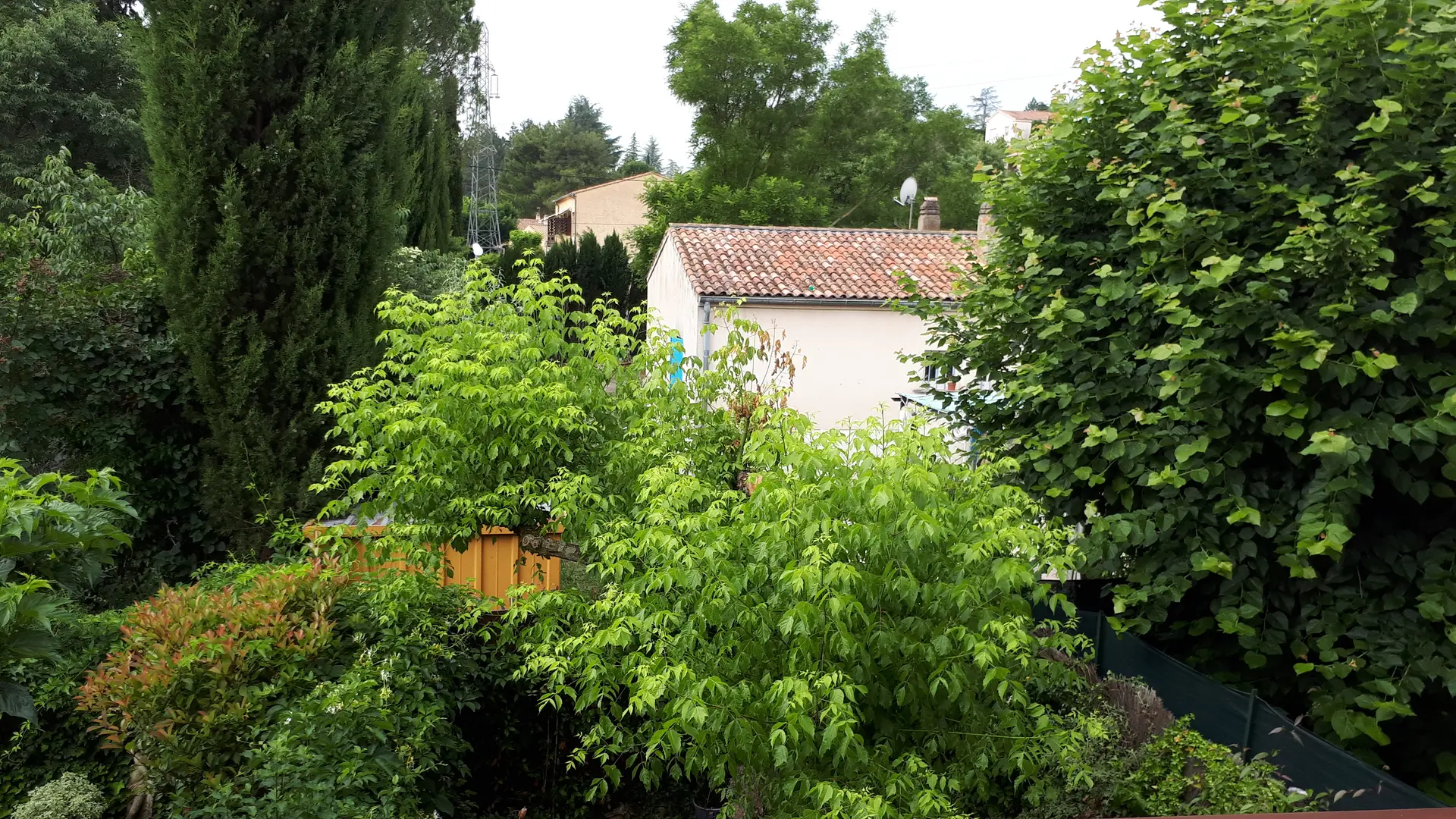 autre vue de la verranda
