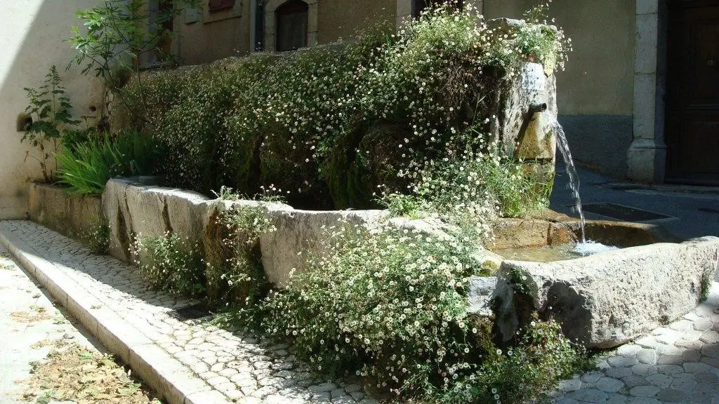 Fontaine du brousson d'or
