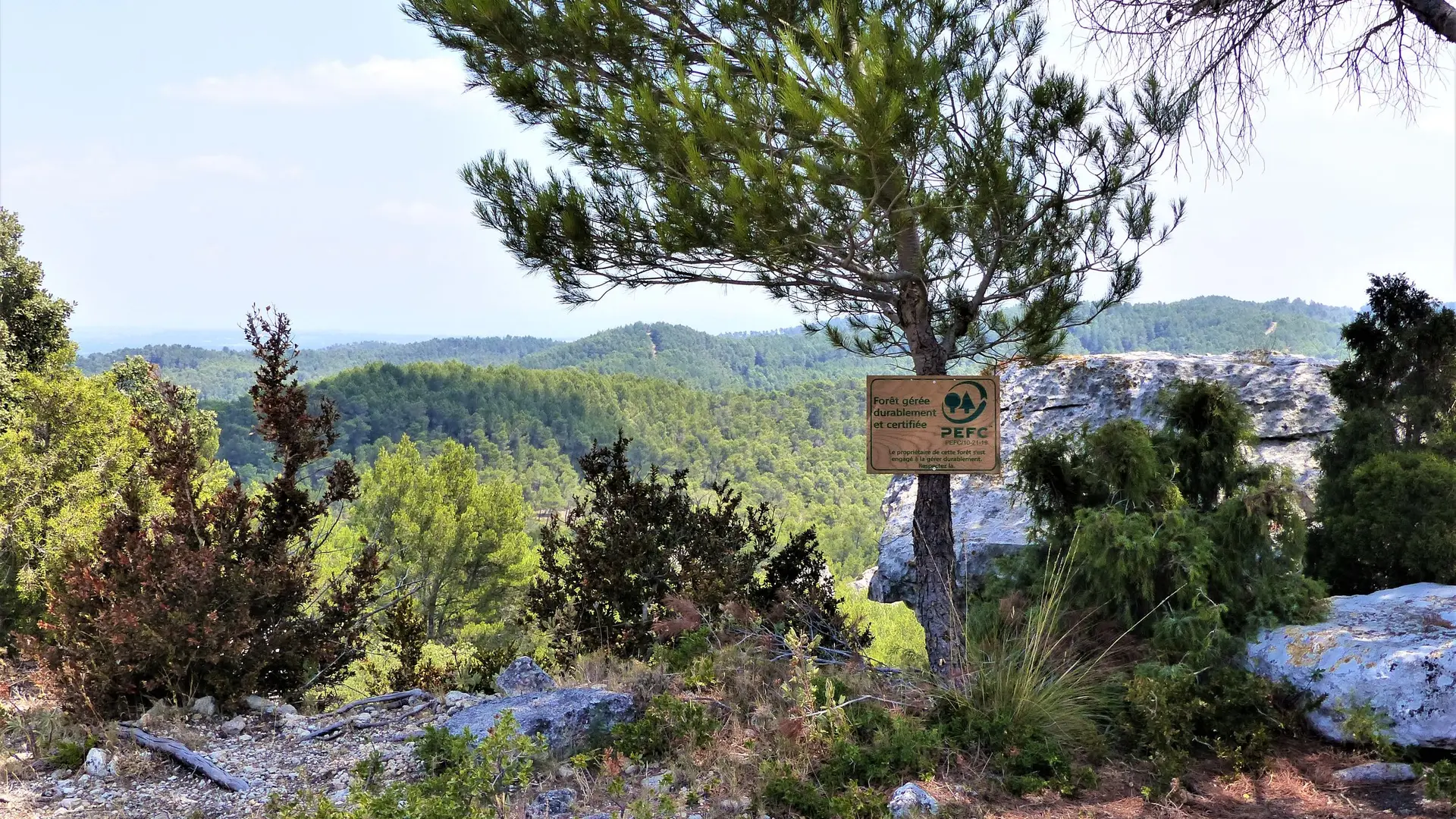 Aux abords du vallon de la Lèque