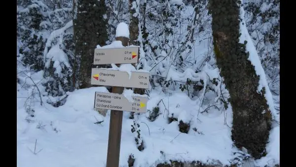 lac du Bourget - Mont Blanc