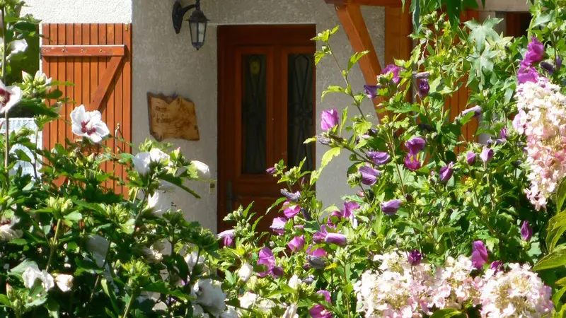 Entrée et hibiscus
