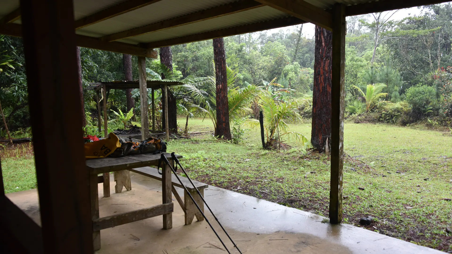Montée sur la piste forestière