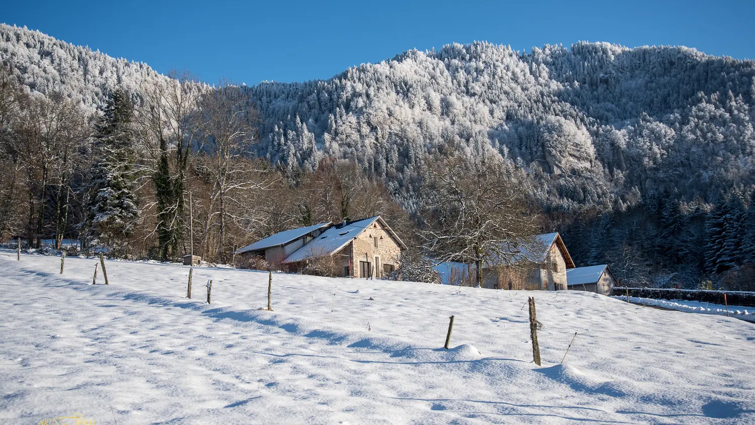 Christine Pascal - Photographe nature Aiguebelette