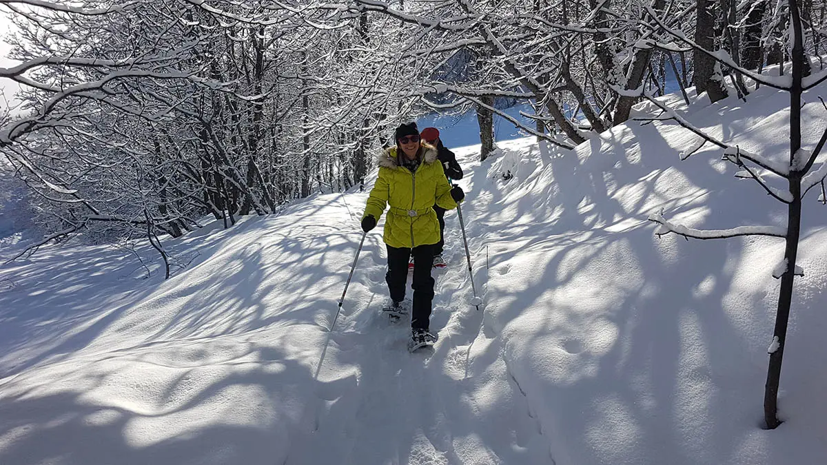 Sur les traces du Loup