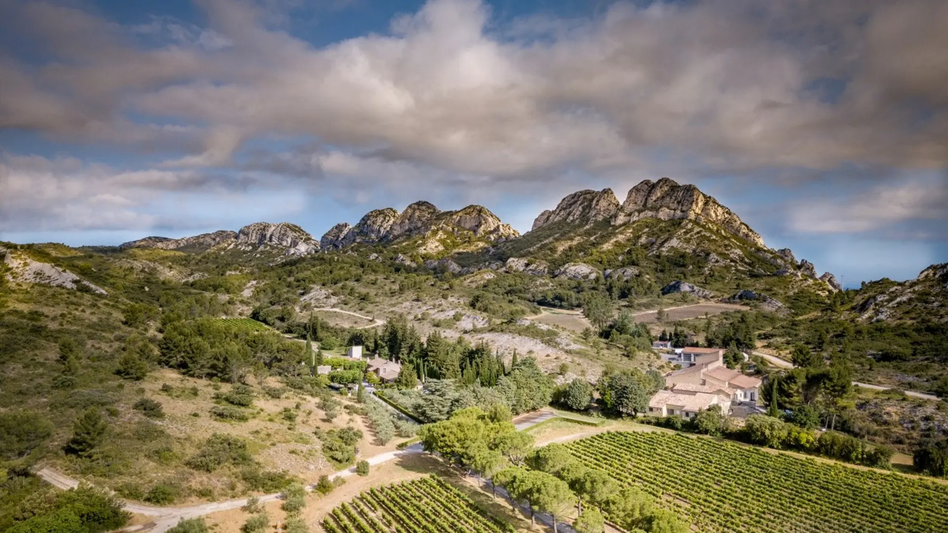 Wine estate Domaine de la Vallongue Eygalières drone view
