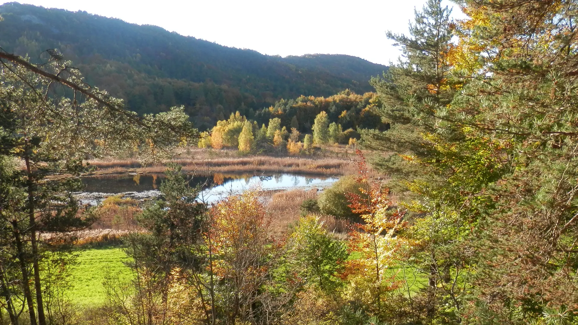 Le Lac de Saint-Léger