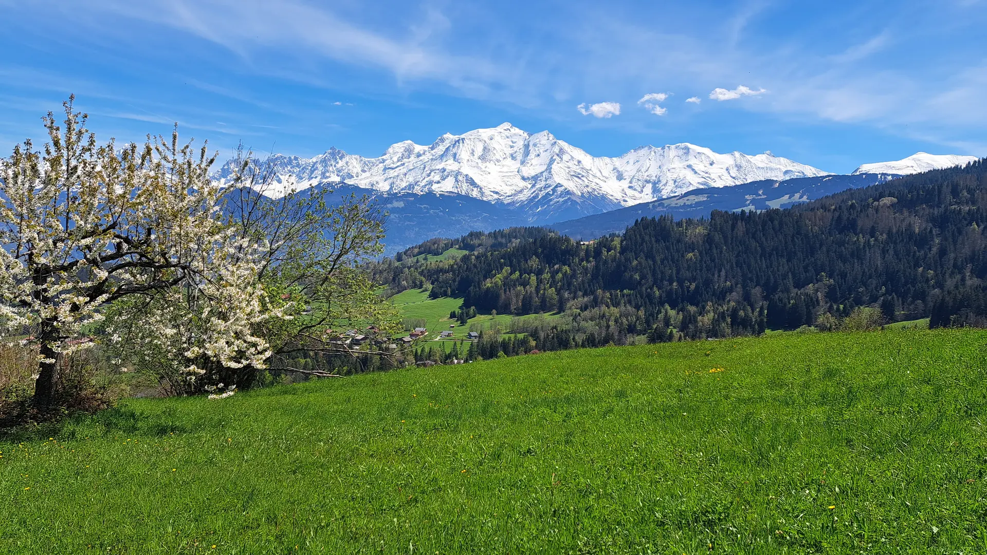 Vue sur le Mont-Blanc, depuis les hauteurs de Cordon