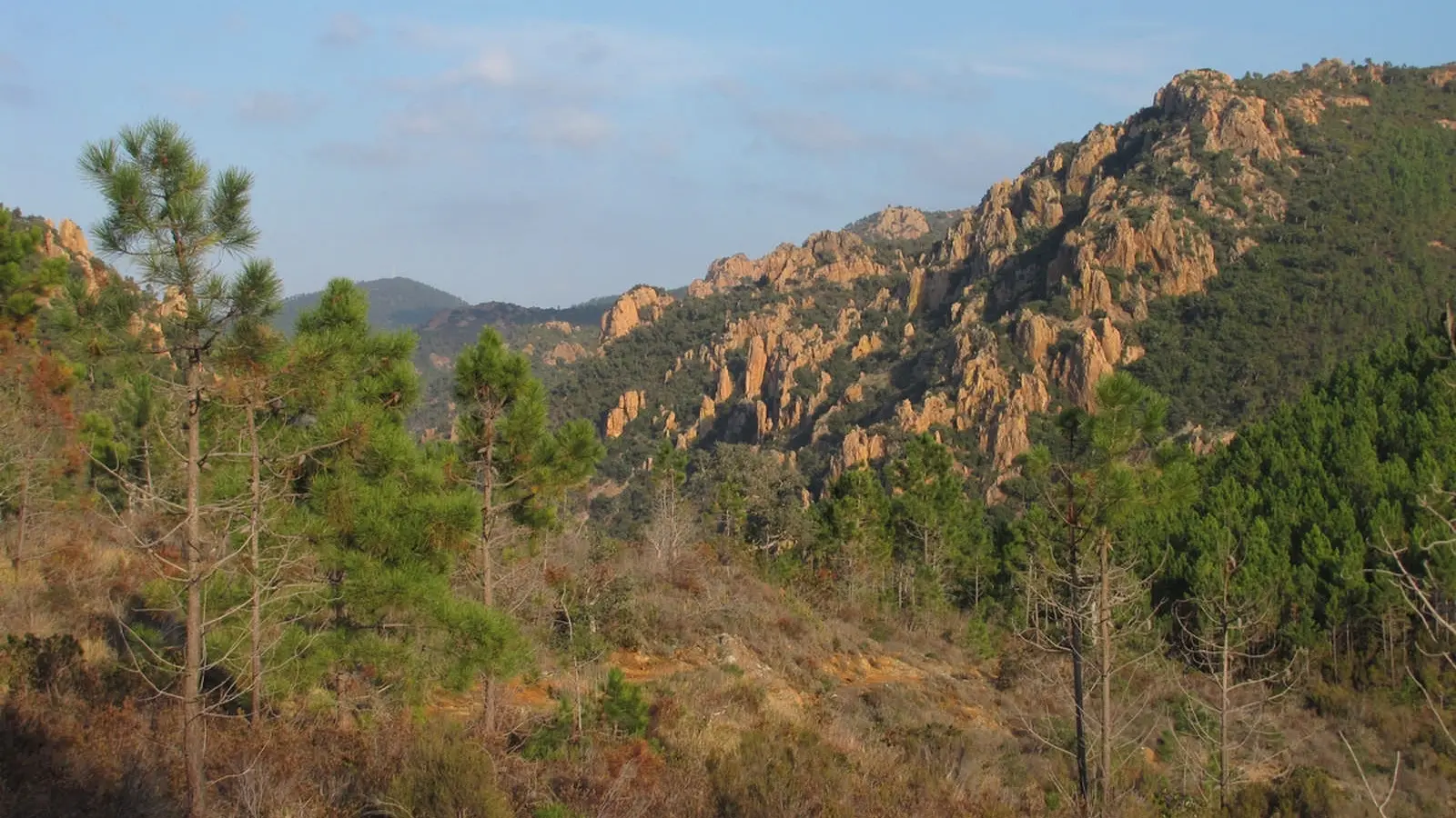 Randonnée de l'Etang d'Aubert