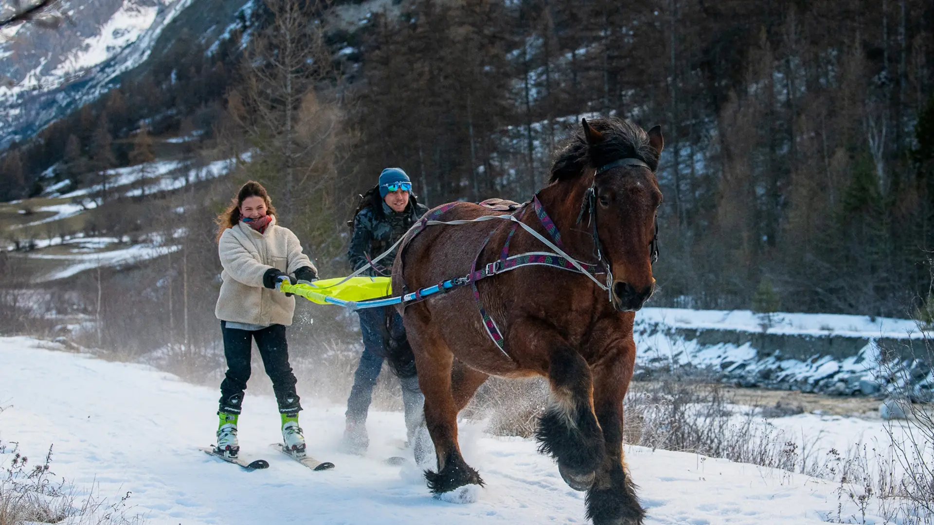 Provence Equiservices - Ski joëring