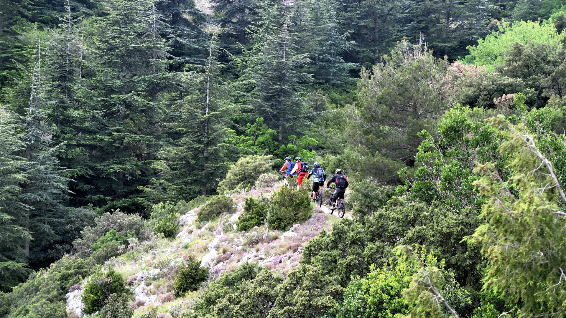 Grand tour du Petit Luberon en VTT