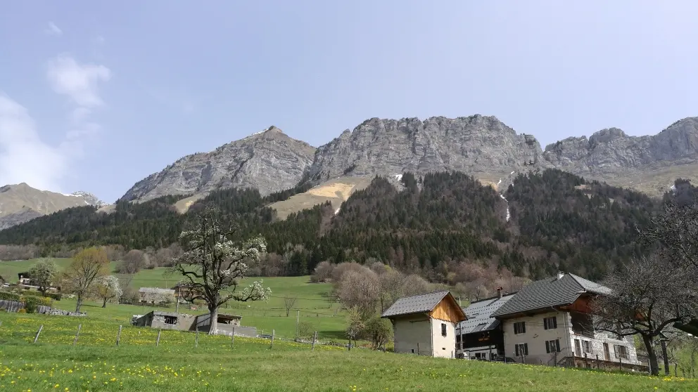 Point  de Vue