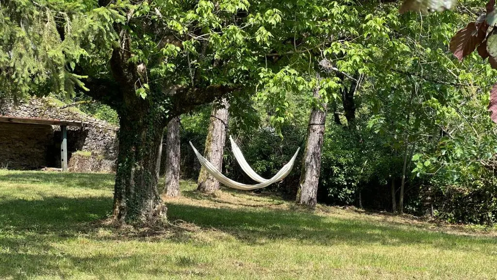 jardin et hamacs