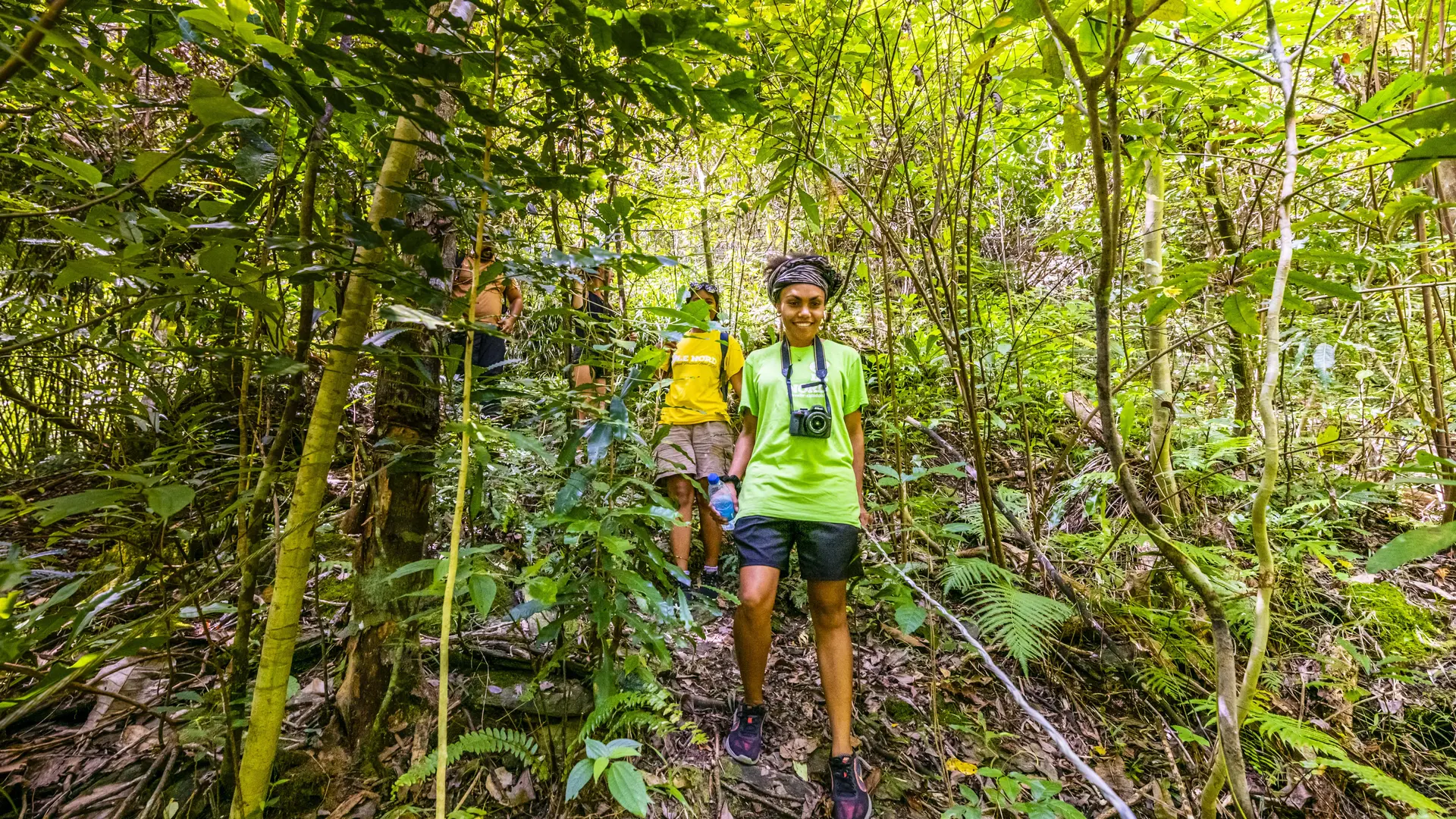 guide, randonnée, pédestre, forêt, montée, touho