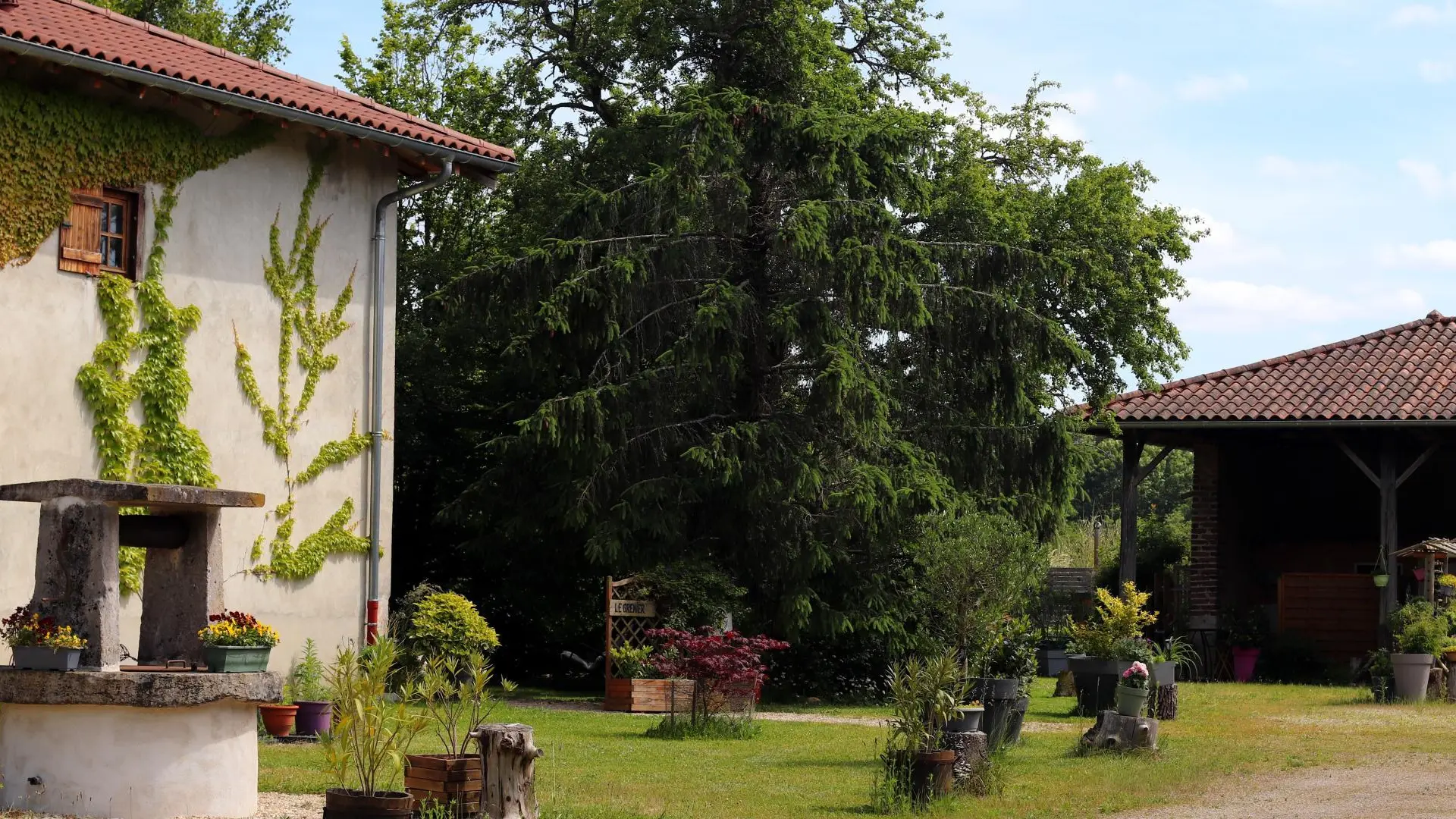 La cour et le puits