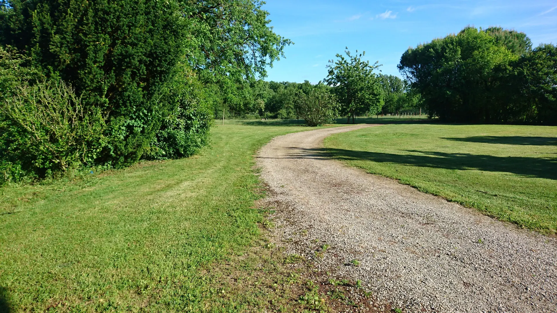 Chemin d'arrivée, jardin, parc.