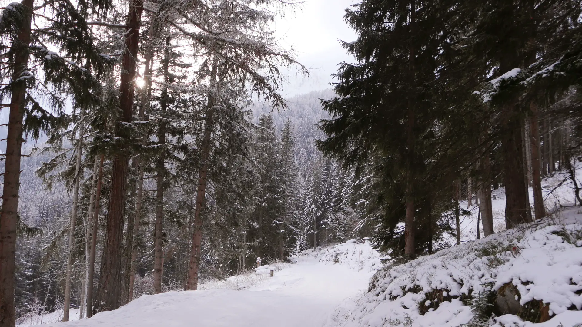 Sentier raquette N°2 - La Tzoumaz