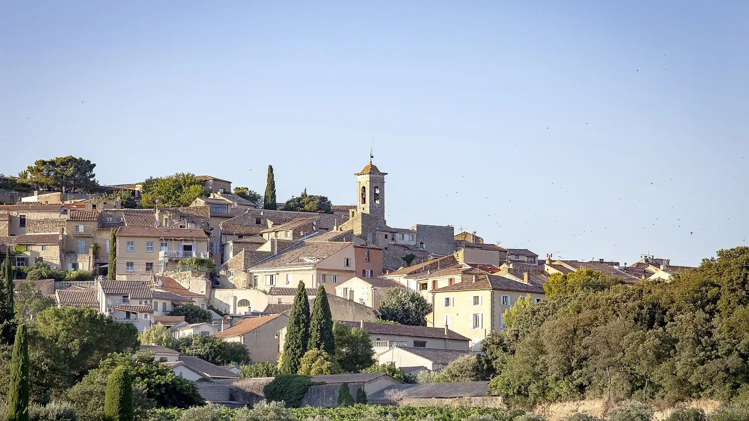 village de Châteauneuf-du-Pape