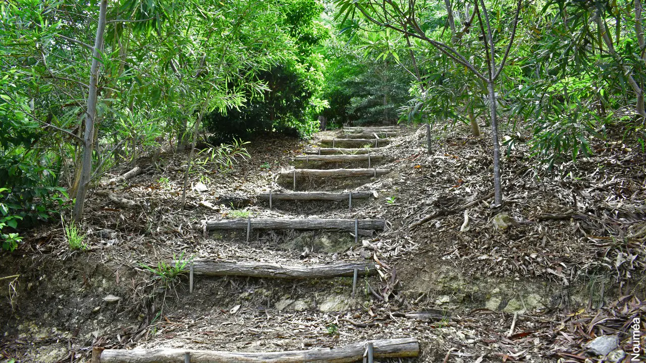 Sentier Forêt Sèche du Mont Vénus