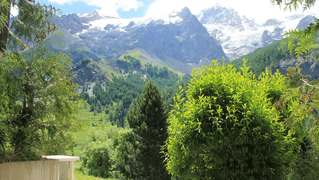 vue depuis la terrasse