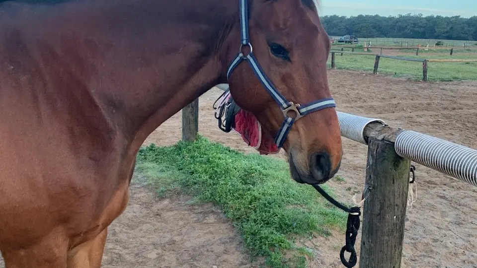 Haras des Evières