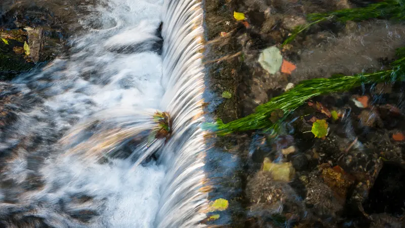 Le repaire des gaulois