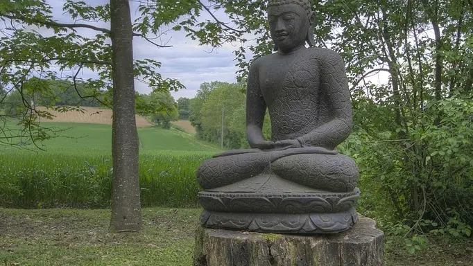 Dans le parc, lieu idéal pour un moment de médiation