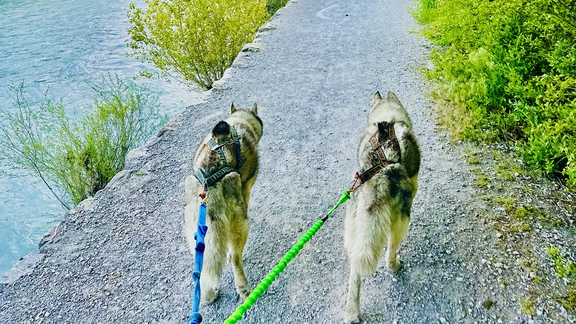 Yupik Aventures Nordiques