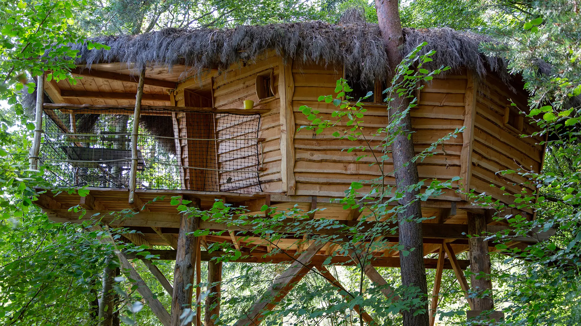 cabane dans les arbres