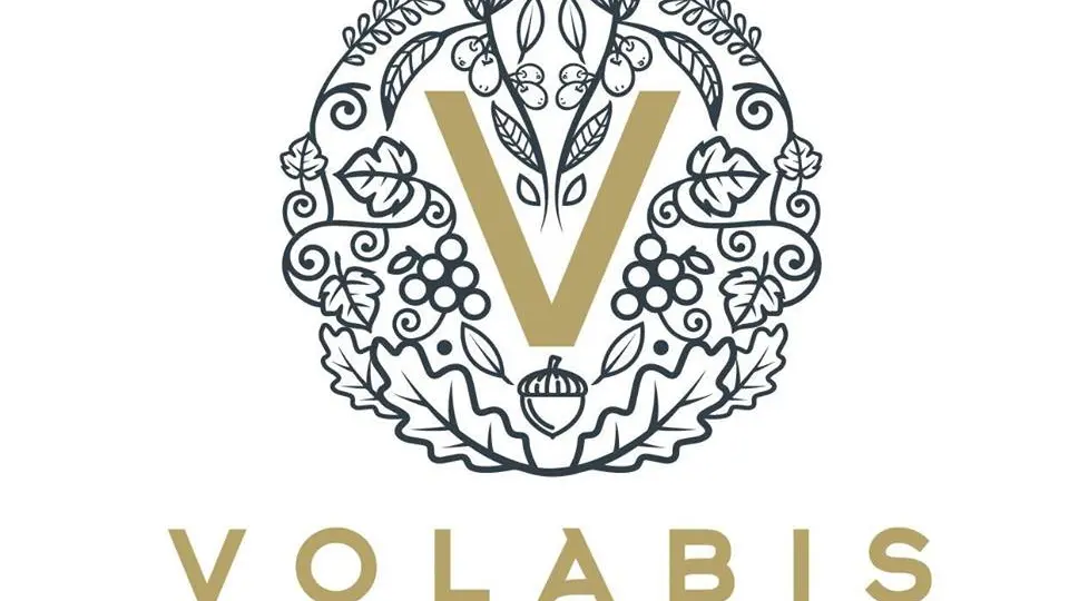 Logo - Volabis