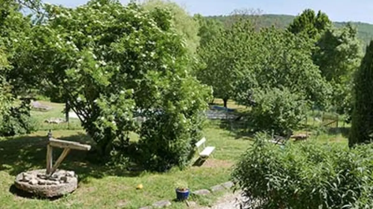 Vue depuis la terrasse du Gîte Salvia