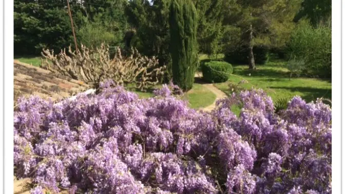 Jardin vu de la fenêtre