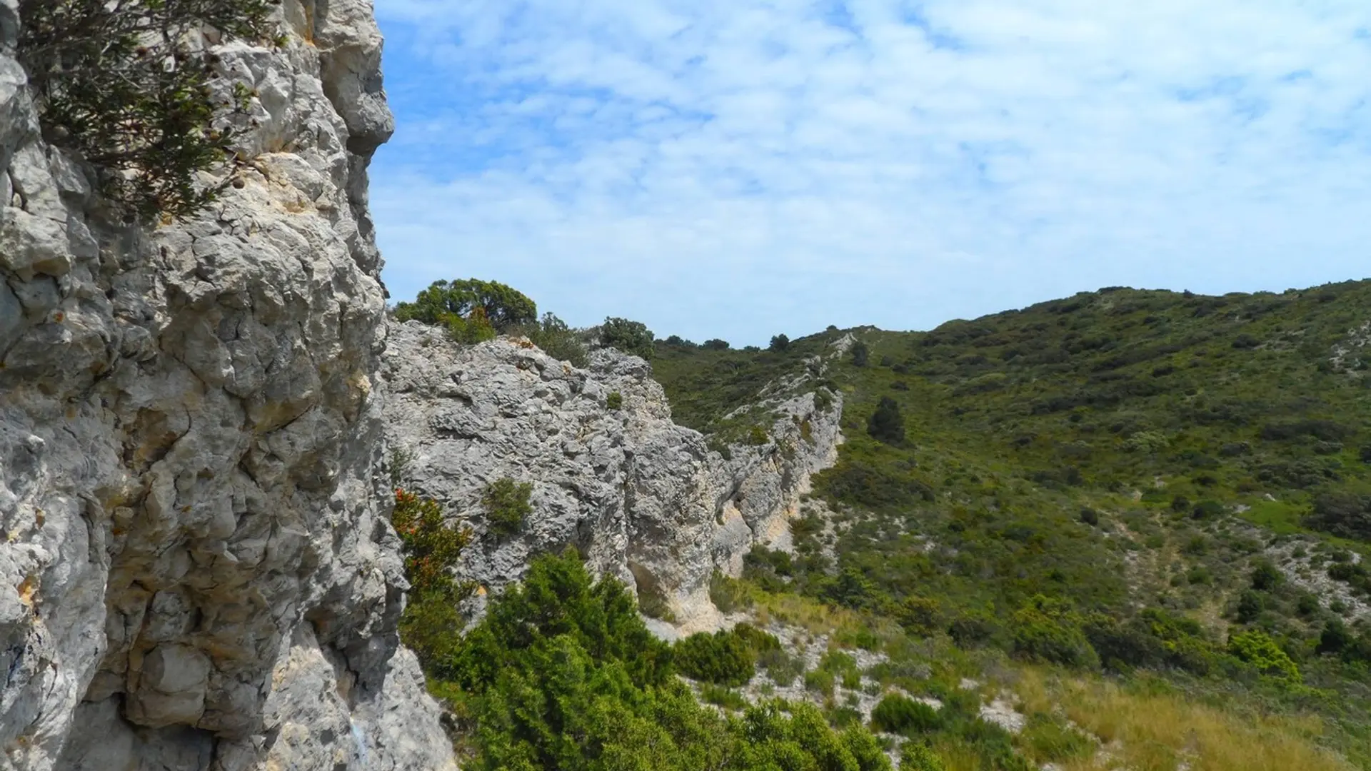 Le long du chemin de Baume Brignolle