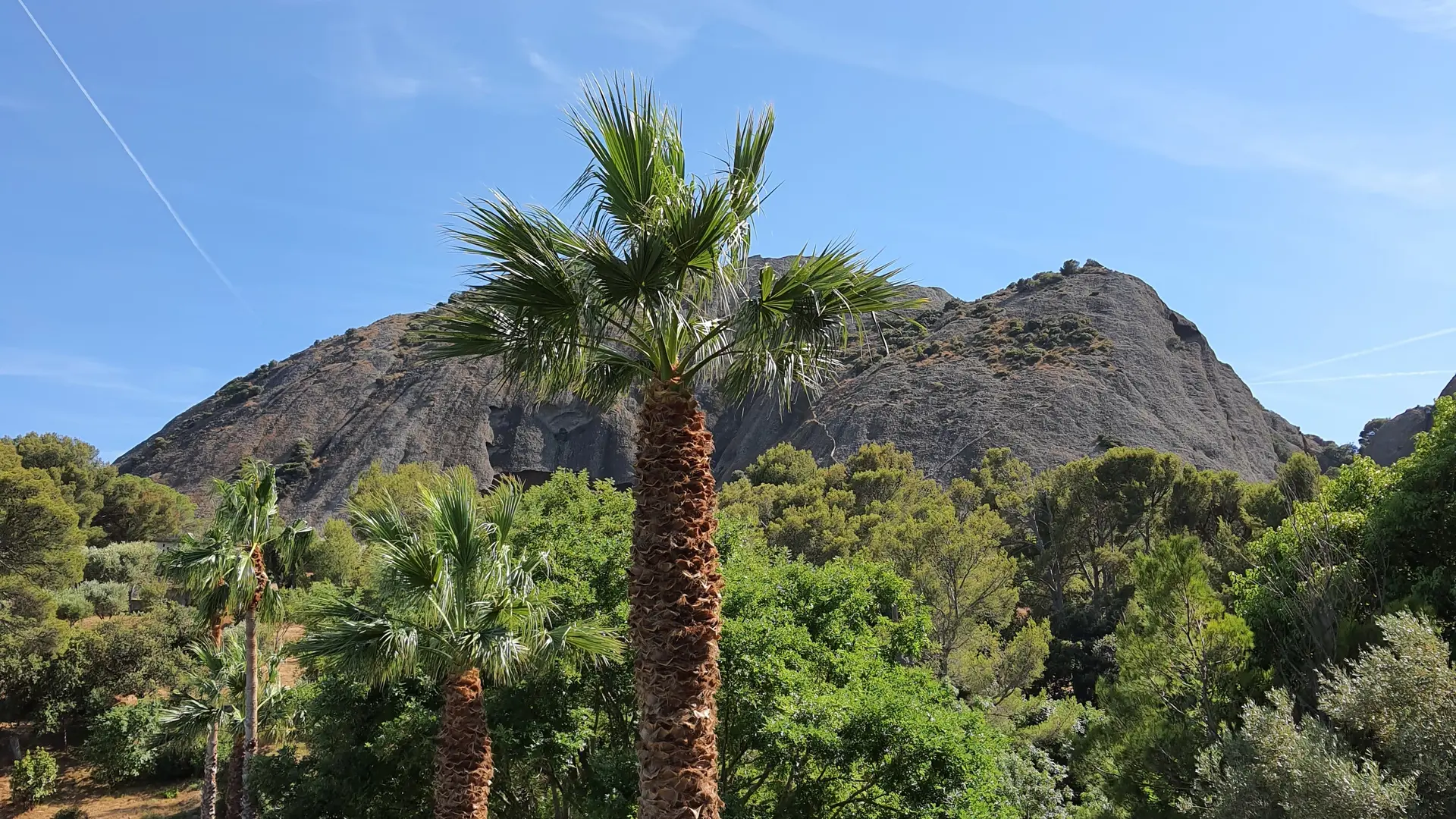 Découverte des Calanques