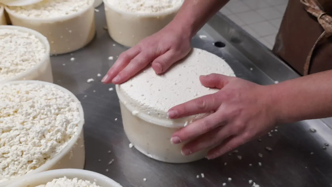 Production de fromage