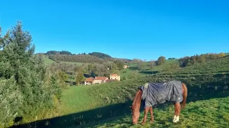 Environnement du gîte