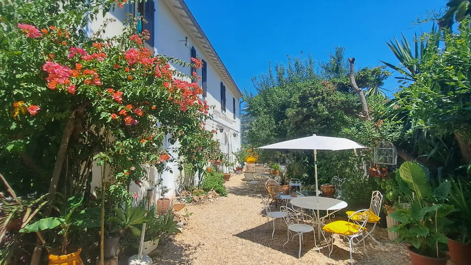 Hôtel des Mimosas