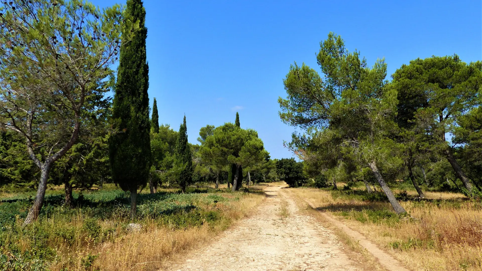 Piste DFCI du Planet